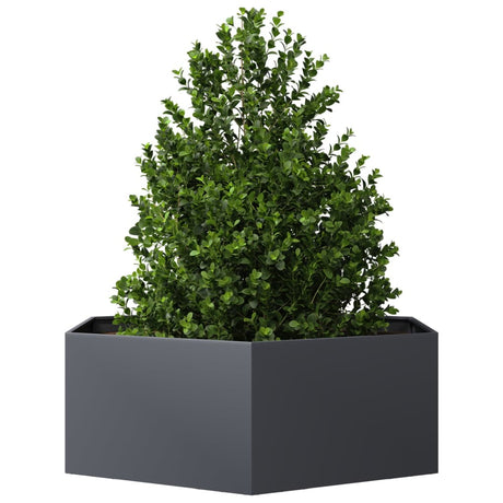 Vidaxx jardinière hexagone 138x120x45 cm acier anthracite