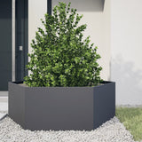 Vidaxx jardinière hexagone 138x120x45 cm acier anthracite