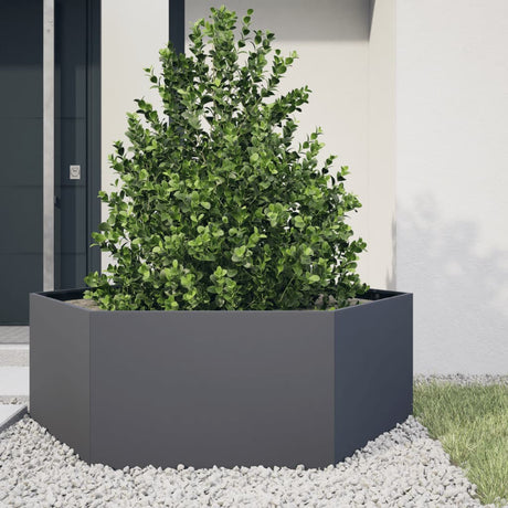 Vidaxx jardinière hexagone 138x120x45 cm acier anthracite