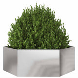 Vidaxx jardinière hexagone 138x120x45 cm acier inoxydable