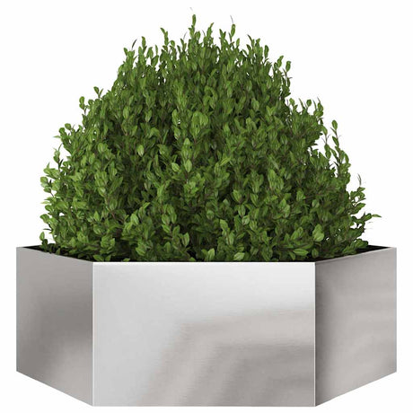 Vidaxx jardinière hexagone 138x120x45 cm acier inoxydable