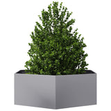 Vidaxl plantenbak zeshoek 138x120x45 cm gegalvaniseerd staal