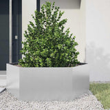 Vidaxx jardinière hexagone 138x120x45 cm acier galvanisé