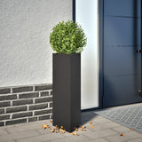 Vidaxx jardinière triangle 30x26x75 cm acier noir