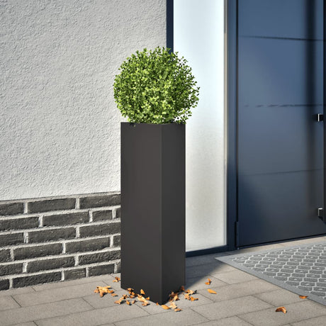 Vidaxx jardinière triangle 30x26x75 cm acier noir