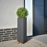 Vidaxx jardinière triangle 30x26x75 cm acier anthracite