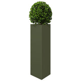 Vidaxx jardinière triangle 30x26x75 cm acier vert olive