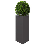 Vidaxx jardinière triangle 40x34,5x70 cm acier noir