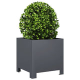 Vidaxx jardinière 30x30x30 cm acier anthracite