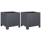 Vidaxx jardinières 2 pcs 30x30x30 cm acier anthracite