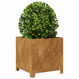 Jardinière Vidaxx 40x40x40 cm acier résistant aux intempéries