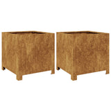 Vidaxx jardinières 2 pcs 40x40x40 cm acier résistant aux intempéries