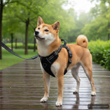 VidaXL harnais pour chien avec bandes réfléchissantes réglable s bleu