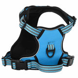 Harnais pour chien VidaXL avec laisse et collier réglable en bleu
