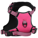 Harnais pour chien VidaXL avec laisse et collier réglable en rose