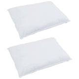 Vidaxl hoofdkussen met kussen 2 pcs wit 40 x 60 cm veren