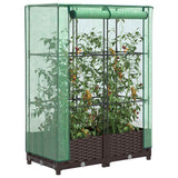 Vidaxx jardinière surélevée avec couverture de serre 80x40x123 cm aspect rotin