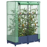 Vidaxx jardinière surélevée avec couverture de serre 80x40x123 cm aspect rotin