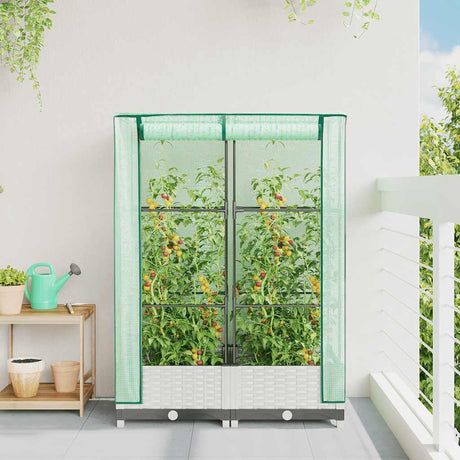 Vidaxx jardinière surélevée avec couverture de serre 80x40x123 cm aspect rotin