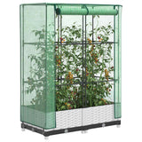 Vidaxx jardinière surélevée avec couverture de serre 80x40x123 cm aspect rotin