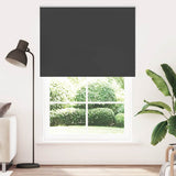 Vidaxl rolgordijn verduisterend 165x210 cm stofbreedte 161,6 cm zwart