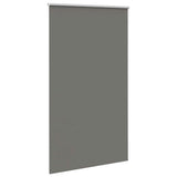 Vidaxx store enrouleur occultant 120x230 cm largeur de tissu 116,6 cm gris