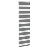 Vidaxl zebra rullo cieco 50x100 cm larghezza del tessuto 45,9 cm grigio scuro