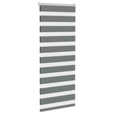 VidaXL store enrouleur zèbre 55x100 cm largeur de tissu 50,9 cm gris foncé