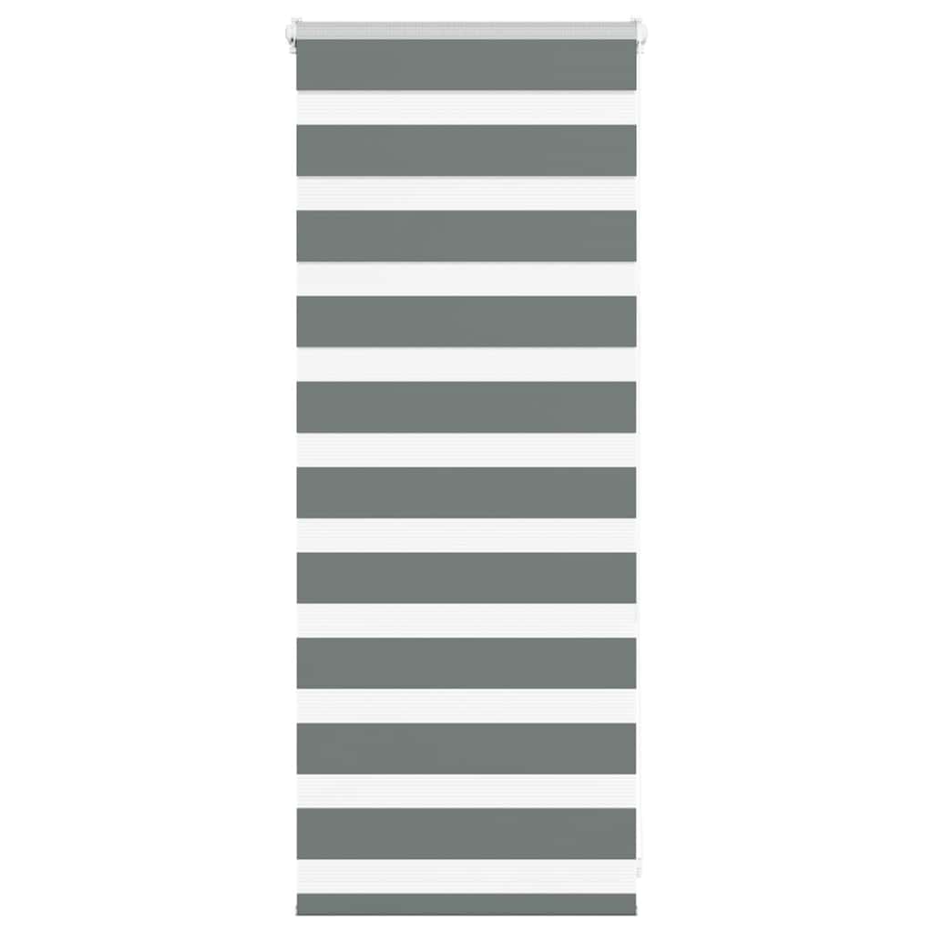 VidaXL store enrouleur zèbre 60x100 cm largeur du tissu gris foncé 55,9 cm