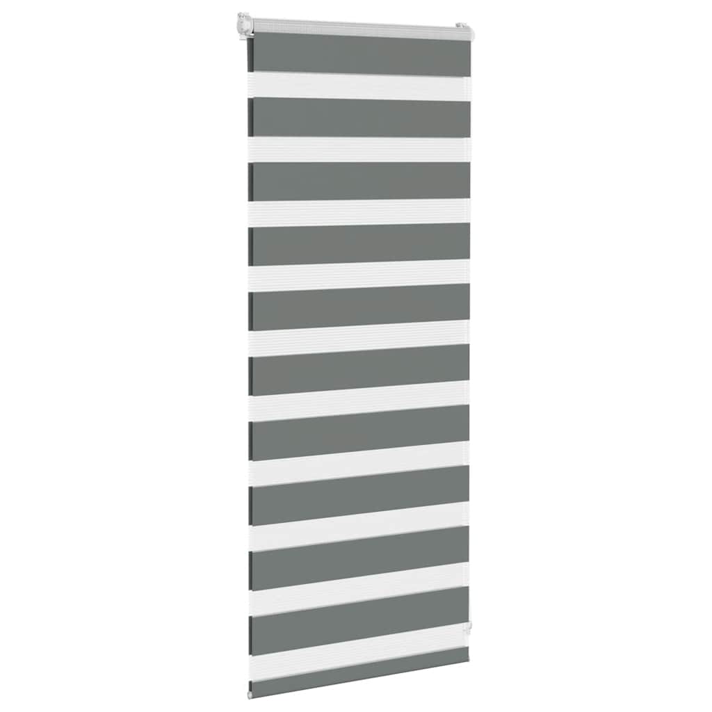 VidaXL store enrouleur zèbre 60x100 cm largeur du tissu gris foncé 55,9 cm