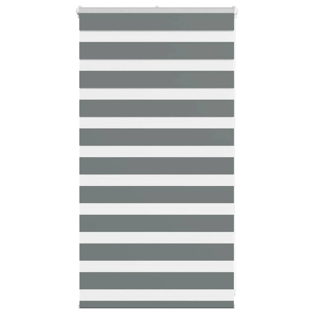 Vidaxl zebra rullo cieco 70x100 cm di larghezza di polvere 65,9 cm grigio scuro