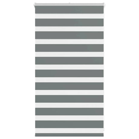 VidaXL store enrouleur zèbre 70x100 cm largeur de tissu 65,9 cm gris foncé