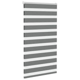 Vidaxl zebra rullo cieco 70x100 cm di larghezza di polvere 65,9 cm grigio scuro