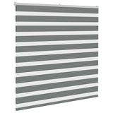 Vidaxl Zebra Roller Blind 145x100 cm støvbredde 140,9 cm mørk grå