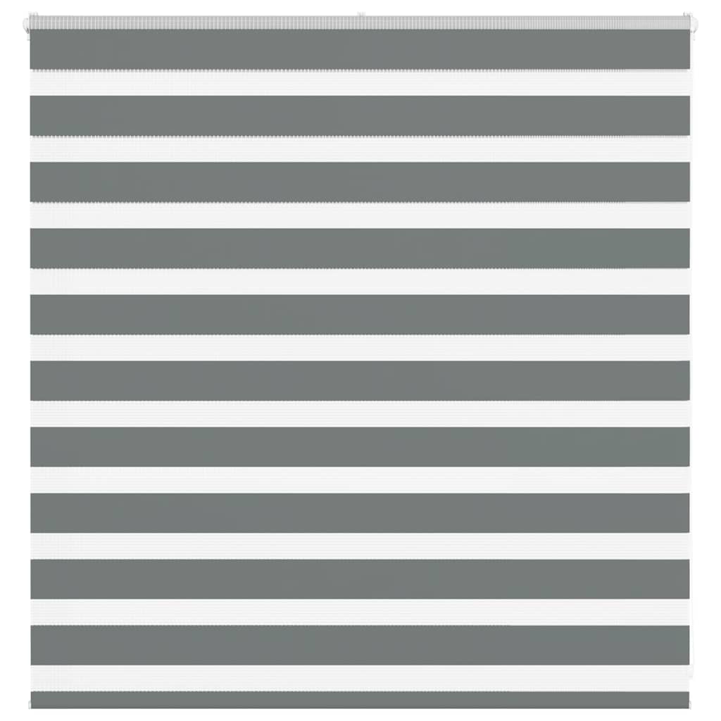 Vidaxl Zebra Rouleau aveugle 150x100 cm Largeur de poussière 145,9 cm Gris foncé