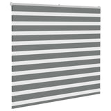 Vidaxl zebra rullo cieco 155x100 cm Larghezza tessuto 150,9 cm grigio scuro