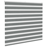 Vidaxx store enrouleur zèbre 160x100 cm largeur de tissu 155,9 cm gris foncé