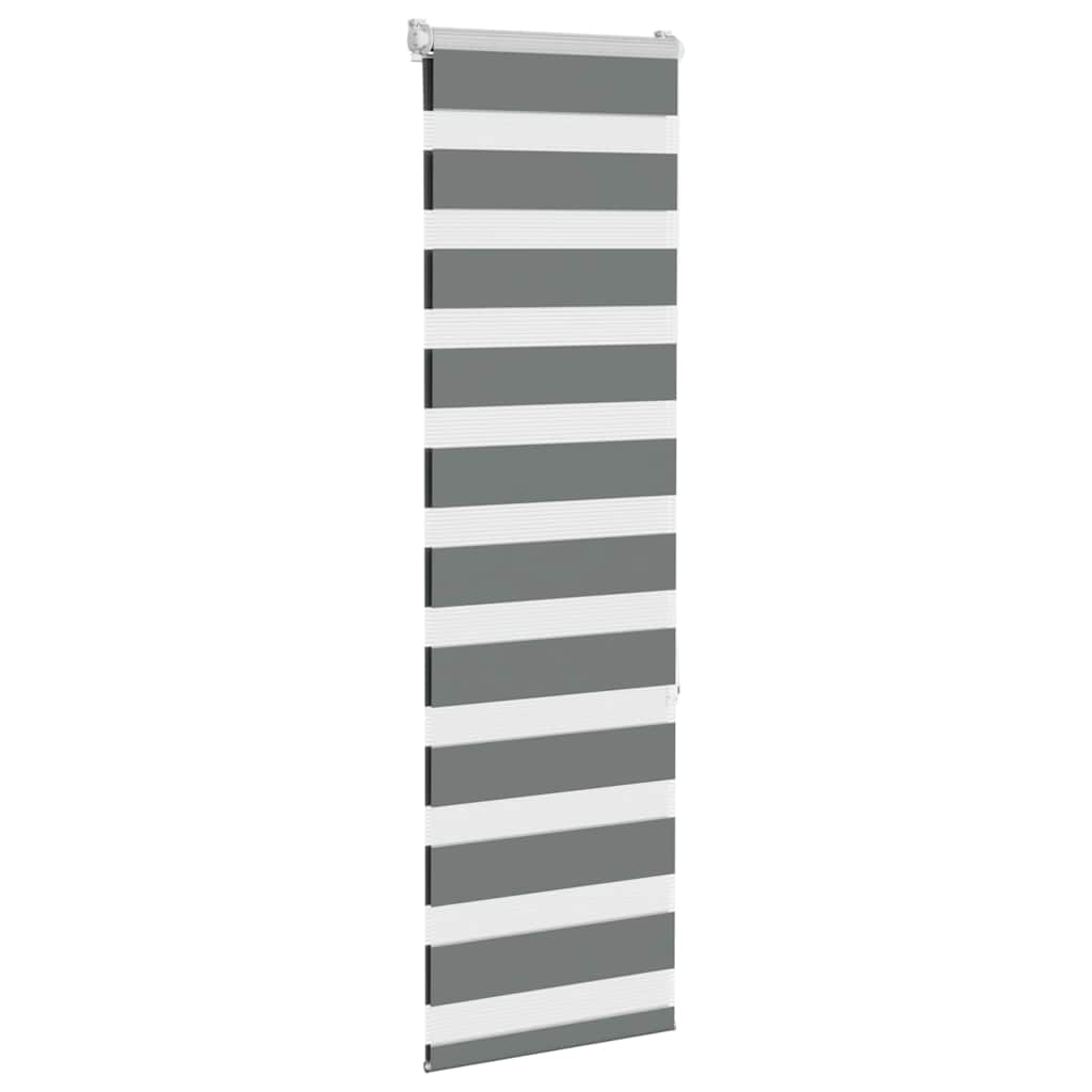 Vidaxl Zebra Rouleau aveugle 40x150 cm Largeur de poussière 35,9 cm gris foncé