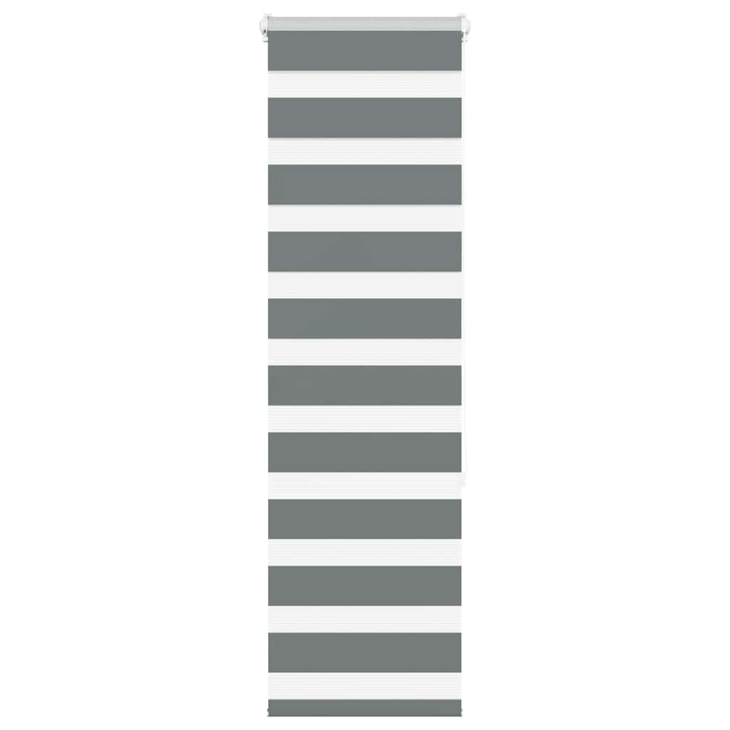 VidaXL store enrouleur zèbre 50x150 cm largeur de tissu 45,9 cm gris foncé