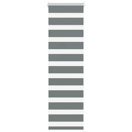 VidaXL store enrouleur zèbre 50x150 cm largeur de tissu 45,9 cm gris foncé