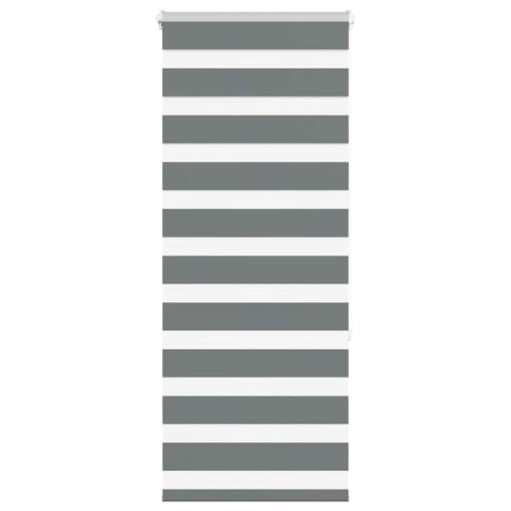 VidaXL store enrouleur zèbre 55x150 cm largeur de tissu 50,9 cm gris foncé