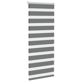 VidaXL store enrouleur zèbre 55x150 cm largeur de tissu 50,9 cm gris foncé