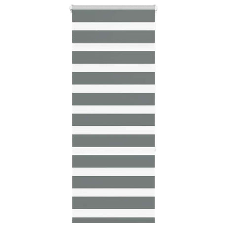 VidaXL store enrouleur zèbre 60x150 cm largeur du tissu gris foncé 55,9 cm