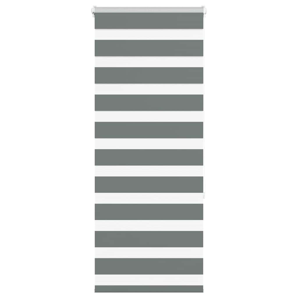VidaXL store enrouleur zèbre 65x150 cm largeur de tissu 60,9 cm gris foncé