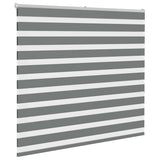 VidaXL store enrouleur zèbre 160x150 cm largeur de tissu 155,9 cm gris foncé