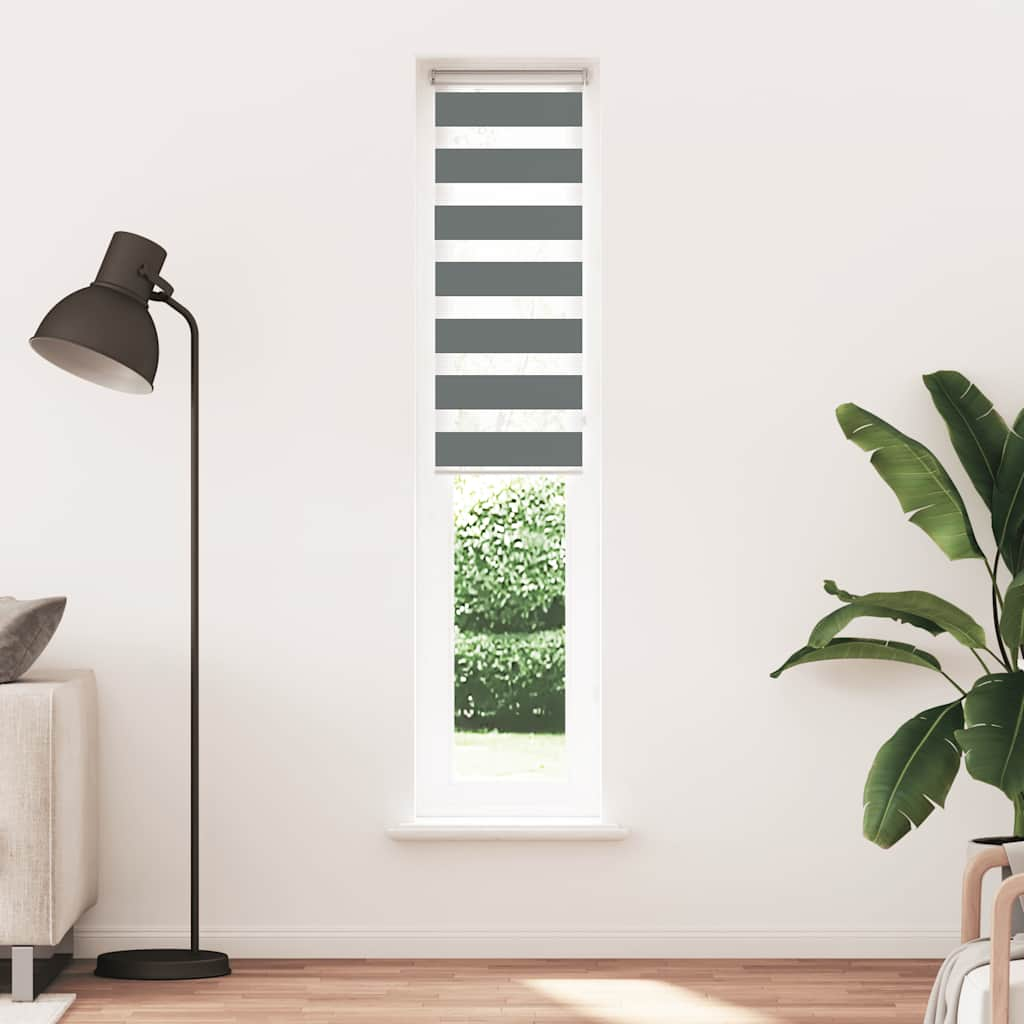 Vidaxl Zebra Roller Blind 45x200 cm Staubbreite 40,9 cm dunkelgrau