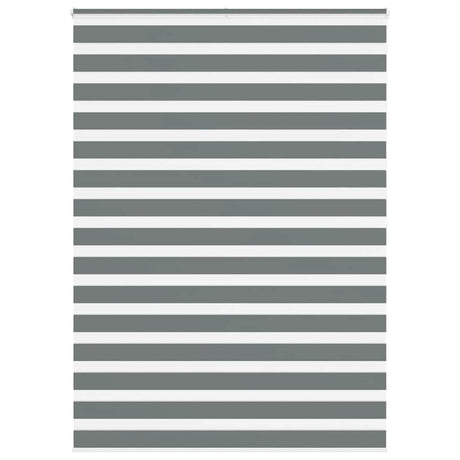 Vidaxx store enrouleur zèbre 160x200 cm largeur de tissu 155,9 cm gris foncé