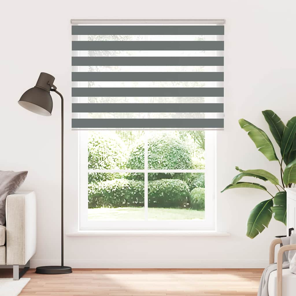 Vidaxl Zebra Roller Blind 165x200 CM Fabric Ancho 160.9 cm de color gris oscuro