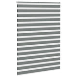 Vidaxl zebra rullo cieco 155x230 cm Larghezza tessuto 150,9 cm grigio scuro