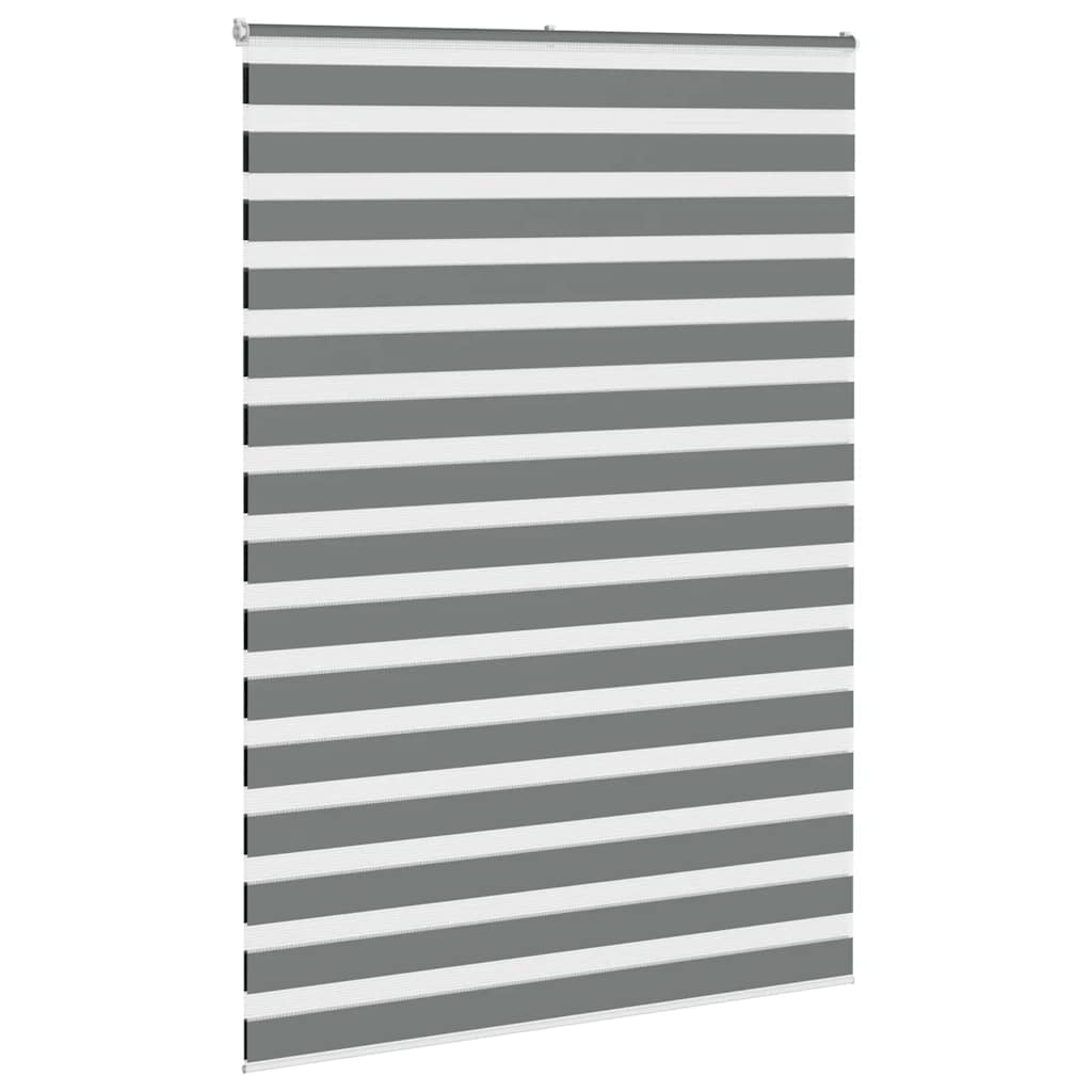 Vidaxl zebra rullo cieco 165x230 cm larghezza del tessuto 160,9 cm grigio scuro